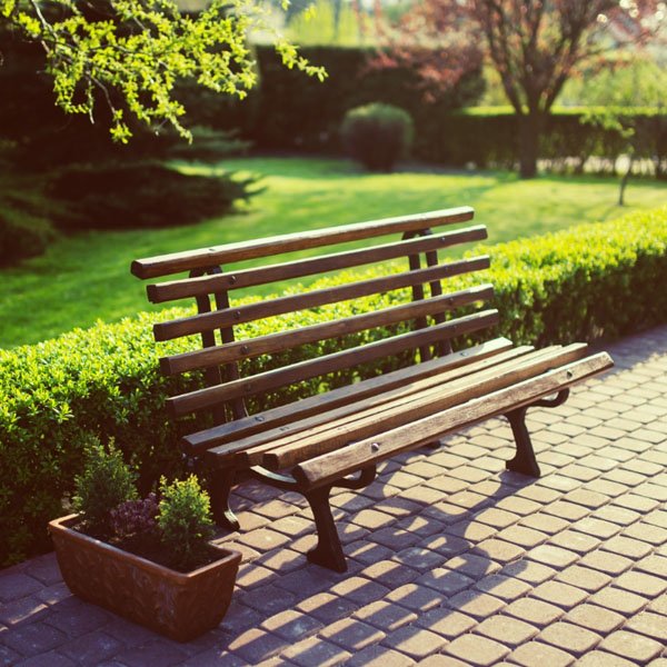 Bench in a Park