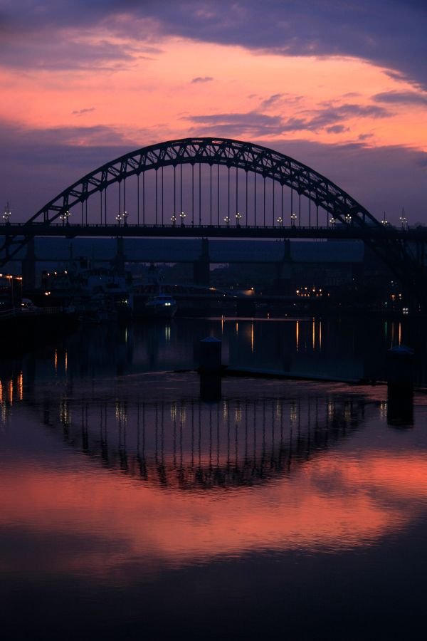 Untitled design (14)