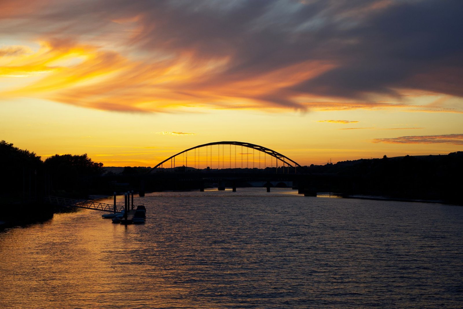 Untitled design (15)