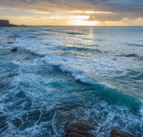 Untitled design (19)