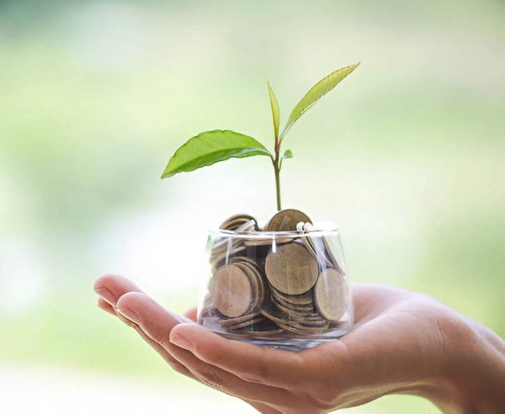 coins in glass container with tree