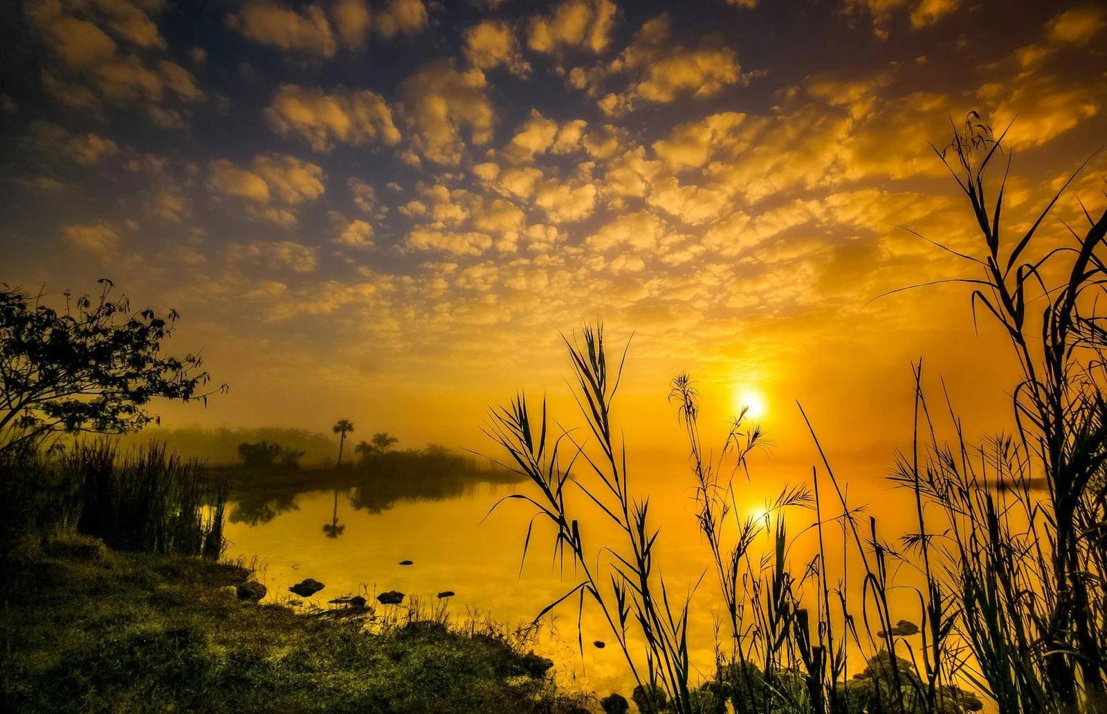 sunset at river bank